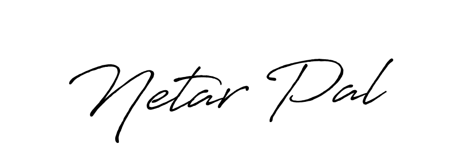 Here are the top 10 professional signature styles for the name Netar Pal. These are the best autograph styles you can use for your name. Netar Pal signature style 7 images and pictures png