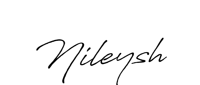 Make a beautiful signature design for name Nileysh. Use this online signature maker to create a handwritten signature for free. Nileysh signature style 7 images and pictures png