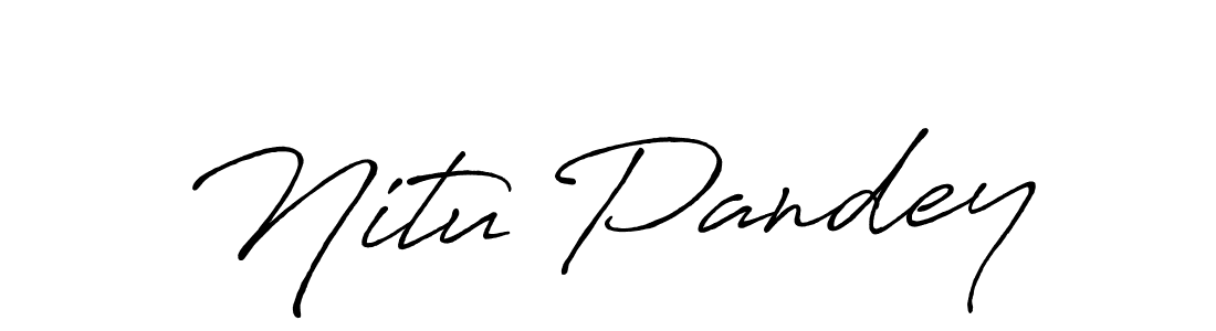 Here are the top 10 professional signature styles for the name Nitu Pandey. These are the best autograph styles you can use for your name. Nitu Pandey signature style 7 images and pictures png