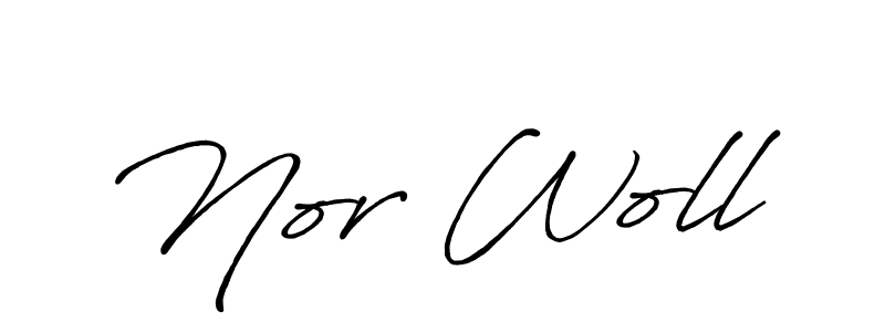 Make a beautiful signature design for name Nor Woll. Use this online signature maker to create a handwritten signature for free. Nor Woll signature style 7 images and pictures png