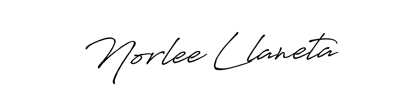 Make a beautiful signature design for name Norlee Llaneta. Use this online signature maker to create a handwritten signature for free. Norlee Llaneta signature style 7 images and pictures png