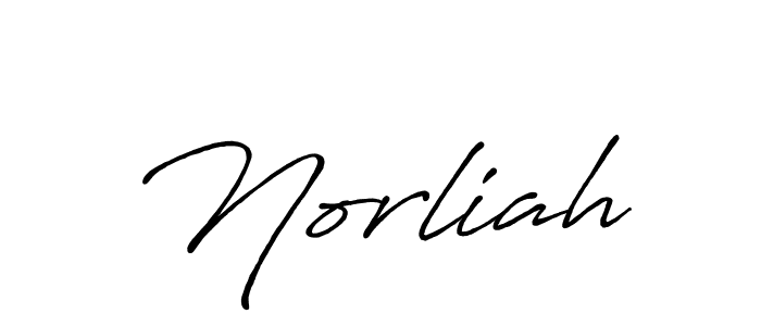 You should practise on your own different ways (Antro_Vectra_Bolder) to write your name (Norliah) in signature. don't let someone else do it for you. Norliah signature style 7 images and pictures png