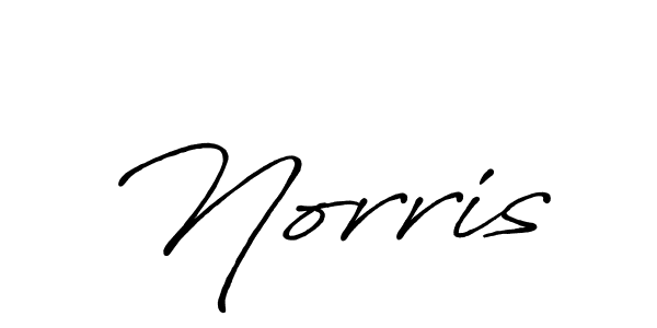 Use a signature maker to create a handwritten signature online. With this signature software, you can design (Antro_Vectra_Bolder) your own signature for name Norris. Norris signature style 7 images and pictures png