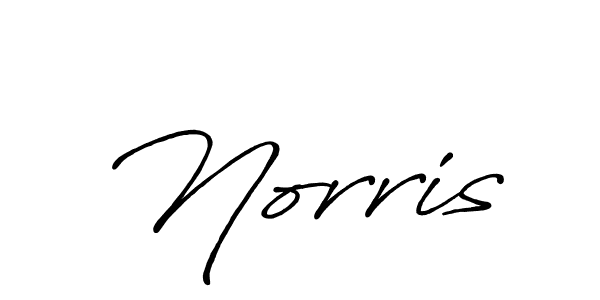 Use a signature maker to create a handwritten signature online. With this signature software, you can design (Antro_Vectra_Bolder) your own signature for name Norris. Norris signature style 7 images and pictures png