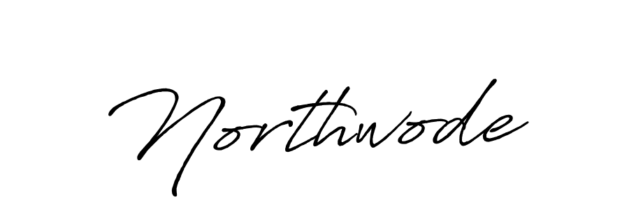 You should practise on your own different ways (Antro_Vectra_Bolder) to write your name (Northwode) in signature. don't let someone else do it for you. Northwode signature style 7 images and pictures png