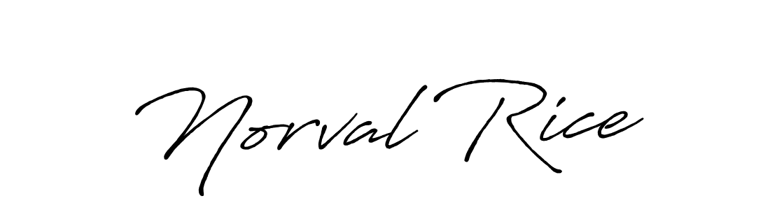 It looks lik you need a new signature style for name Norval Rice. Design unique handwritten (Antro_Vectra_Bolder) signature with our free signature maker in just a few clicks. Norval Rice signature style 7 images and pictures png