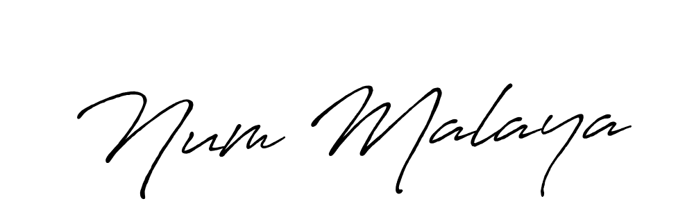 See photos of Num Malaya official signature by Spectra . Check more albums & portfolios. Read reviews & check more about Antro_Vectra_Bolder font. Num Malaya signature style 7 images and pictures png