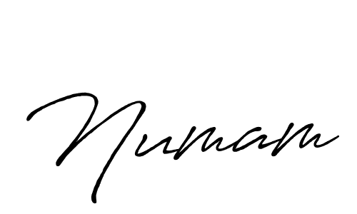 Here are the top 10 professional signature styles for the name Numam. These are the best autograph styles you can use for your name. Numam signature style 7 images and pictures png