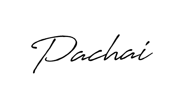 It looks lik you need a new signature style for name Pachai. Design unique handwritten (Antro_Vectra_Bolder) signature with our free signature maker in just a few clicks. Pachai signature style 7 images and pictures png