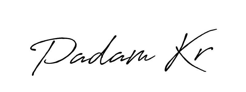 Here are the top 10 professional signature styles for the name Padam Kr. These are the best autograph styles you can use for your name. Padam Kr signature style 7 images and pictures png