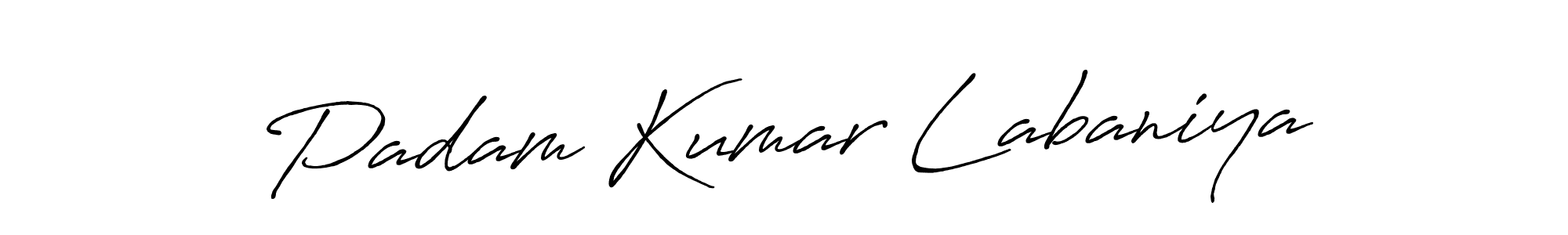 You can use this online signature creator to create a handwritten signature for the name Padam Kumar Labaniya. This is the best online autograph maker. Padam Kumar Labaniya signature style 7 images and pictures png