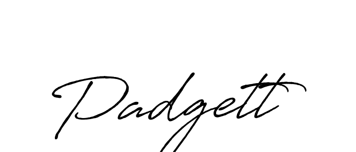 Make a beautiful signature design for name Padgett. Use this online signature maker to create a handwritten signature for free. Padgett signature style 7 images and pictures png