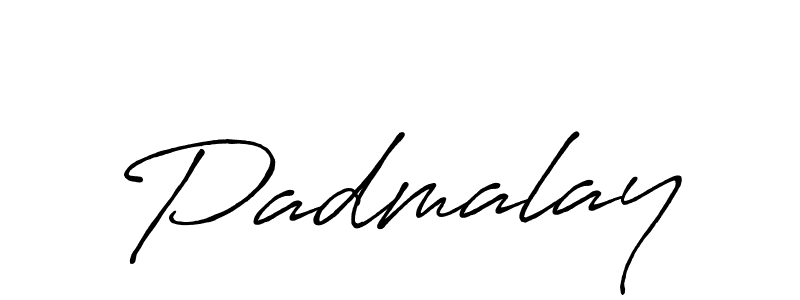 How to make Padmalay signature? Antro_Vectra_Bolder is a professional autograph style. Create handwritten signature for Padmalay name. Padmalay signature style 7 images and pictures png