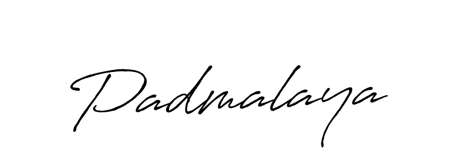 Similarly Antro_Vectra_Bolder is the best handwritten signature design. Signature creator online .You can use it as an online autograph creator for name Padmalaya. Padmalaya signature style 7 images and pictures png