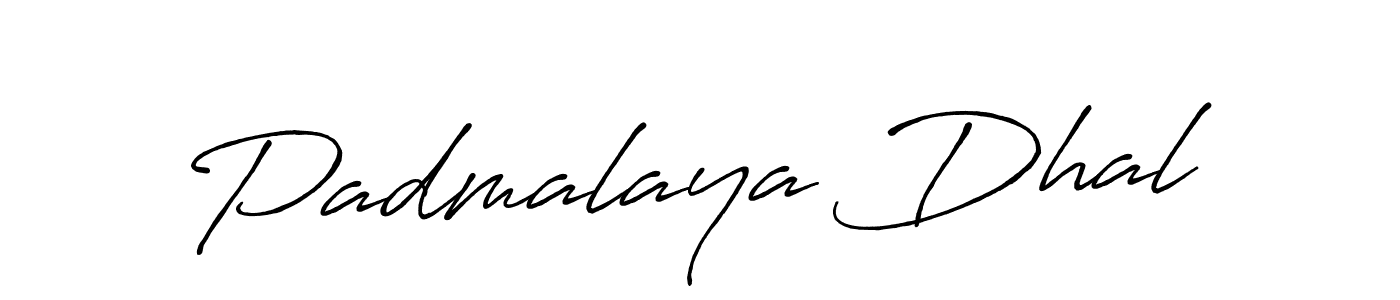 Design your own signature with our free online signature maker. With this signature software, you can create a handwritten (Antro_Vectra_Bolder) signature for name Padmalaya Dhal. Padmalaya Dhal signature style 7 images and pictures png