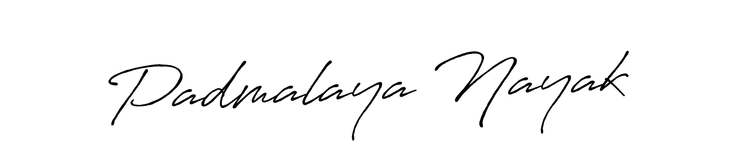 Make a beautiful signature design for name Padmalaya Nayak. Use this online signature maker to create a handwritten signature for free. Padmalaya Nayak signature style 7 images and pictures png
