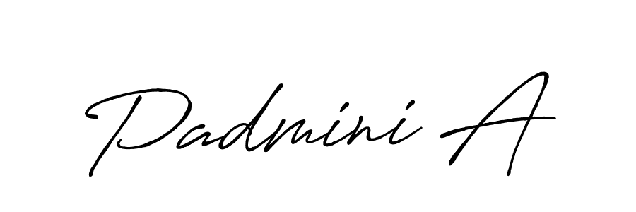 How to make Padmini A signature? Antro_Vectra_Bolder is a professional autograph style. Create handwritten signature for Padmini A name. Padmini A signature style 7 images and pictures png