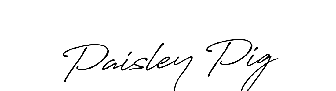 Similarly Antro_Vectra_Bolder is the best handwritten signature design. Signature creator online .You can use it as an online autograph creator for name Paisley Pig. Paisley Pig signature style 7 images and pictures png