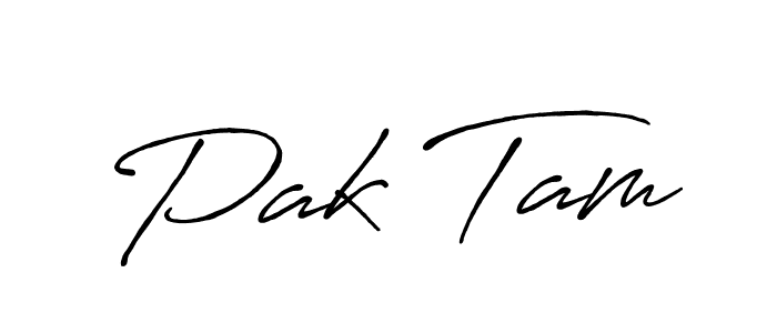 Also You can easily find your signature by using the search form. We will create Pak Tam name handwritten signature images for you free of cost using Antro_Vectra_Bolder sign style. Pak Tam signature style 7 images and pictures png