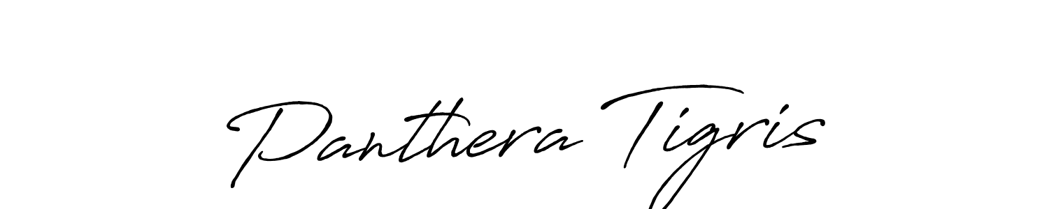 Here are the top 10 professional signature styles for the name Panthera Tigris. These are the best autograph styles you can use for your name. Panthera Tigris signature style 7 images and pictures png