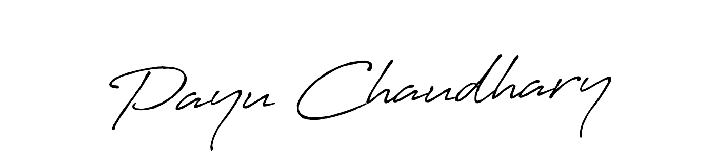 Here are the top 10 professional signature styles for the name Payu Chaudhary. These are the best autograph styles you can use for your name. Payu Chaudhary signature style 7 images and pictures png