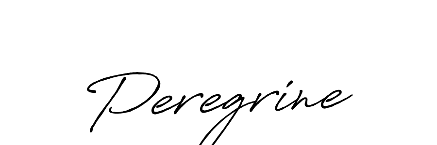 Use a signature maker to create a handwritten signature online. With this signature software, you can design (Antro_Vectra_Bolder) your own signature for name Peregrine. Peregrine signature style 7 images and pictures png