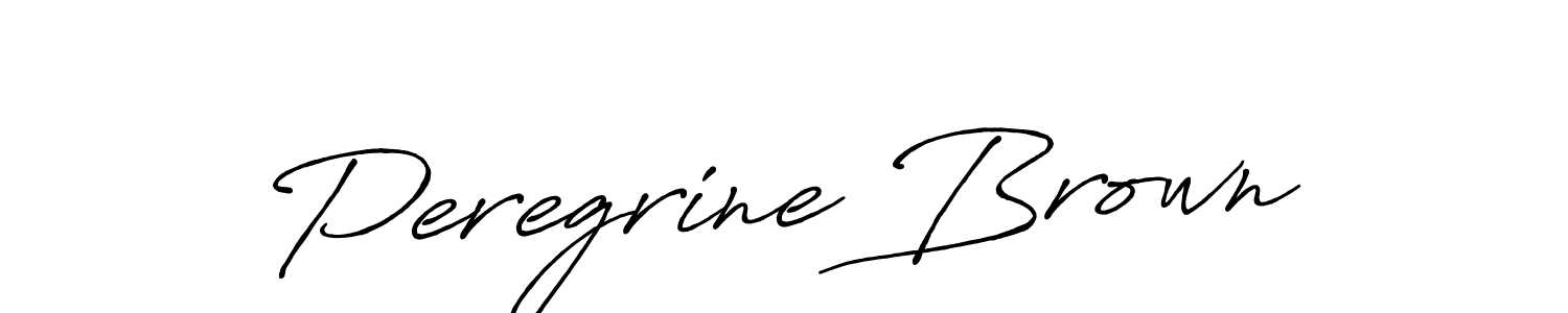 Make a beautiful signature design for name Peregrine Brown. Use this online signature maker to create a handwritten signature for free. Peregrine Brown signature style 7 images and pictures png