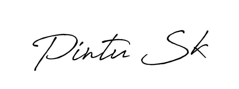 Make a beautiful signature design for name Pintu Sk. Use this online signature maker to create a handwritten signature for free. Pintu Sk signature style 7 images and pictures png