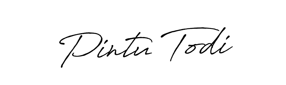 Make a beautiful signature design for name Pintu Todi. Use this online signature maker to create a handwritten signature for free. Pintu Todi signature style 7 images and pictures png