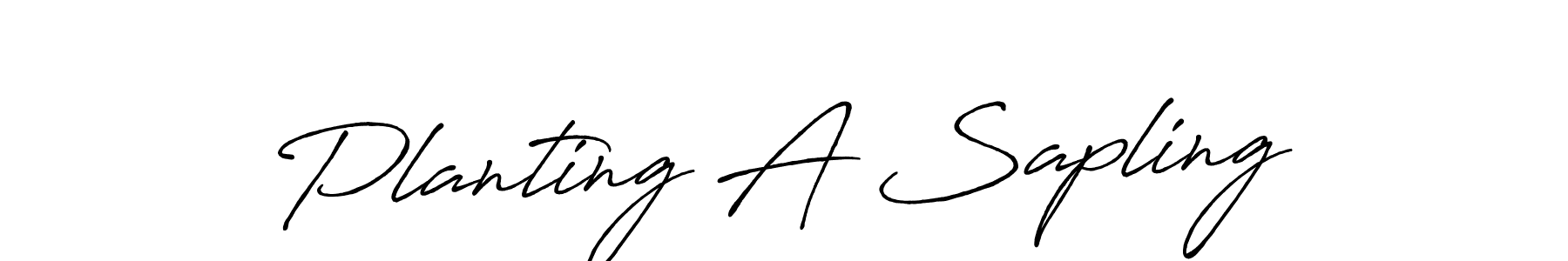 Also we have Planting A Sapling name is the best signature style. Create professional handwritten signature collection using Antro_Vectra_Bolder autograph style. Planting A Sapling signature style 7 images and pictures png