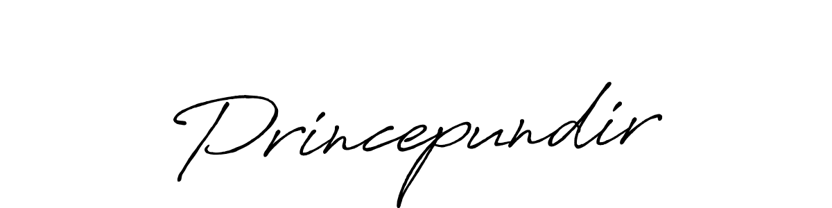 Make a beautiful signature design for name Princepundir. Use this online signature maker to create a handwritten signature for free. Princepundir signature style 7 images and pictures png
