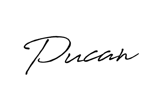 Pucan stylish signature style. Best Handwritten Sign (Antro_Vectra_Bolder) for my name. Handwritten Signature Collection Ideas for my name Pucan. Pucan signature style 7 images and pictures png