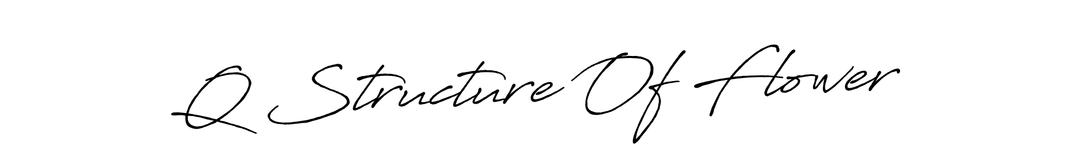 Design your own signature with our free online signature maker. With this signature software, you can create a handwritten (Antro_Vectra_Bolder) signature for name Q Structure Of Flower. Q Structure Of Flower signature style 7 images and pictures png