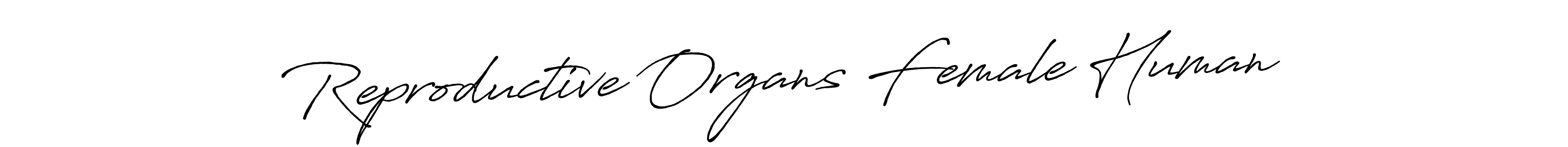 Reproductive Organs Female Human stylish signature style. Best Handwritten Sign (Antro_Vectra_Bolder) for my name. Handwritten Signature Collection Ideas for my name Reproductive Organs Female Human. Reproductive Organs Female Human signature style 7 images and pictures png