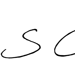 Make a beautiful signature design for name S C. Use this online signature maker to create a handwritten signature for free. S C signature style 7 images and pictures png