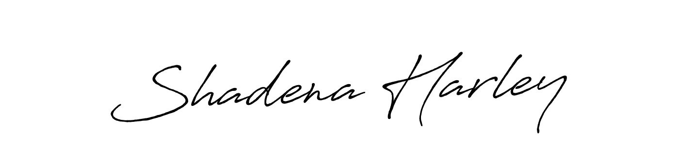 Design your own signature with our free online signature maker. With this signature software, you can create a handwritten (Antro_Vectra_Bolder) signature for name Shadena Harley. Shadena Harley signature style 7 images and pictures png