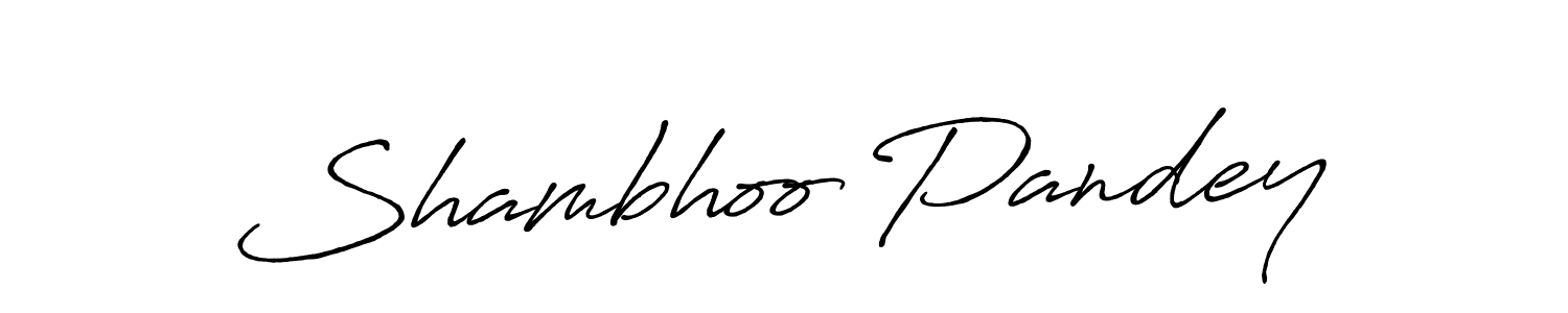 Make a beautiful signature design for name Shambhoo Pandey. Use this online signature maker to create a handwritten signature for free. Shambhoo Pandey signature style 7 images and pictures png