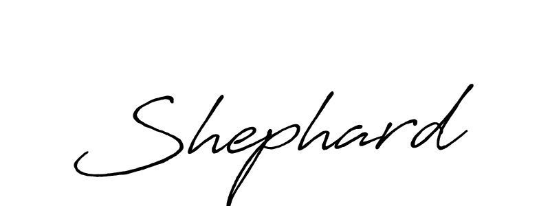 Best and Professional Signature Style for Shephard. Antro_Vectra_Bolder Best Signature Style Collection. Shephard signature style 7 images and pictures png