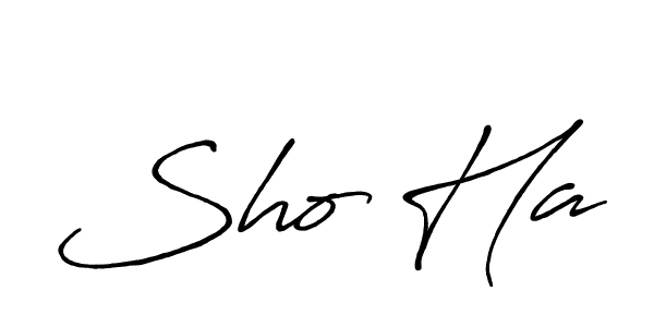You should practise on your own different ways (Antro_Vectra_Bolder) to write your name (Sho Ha) in signature. don't let someone else do it for you. Sho Ha signature style 7 images and pictures png