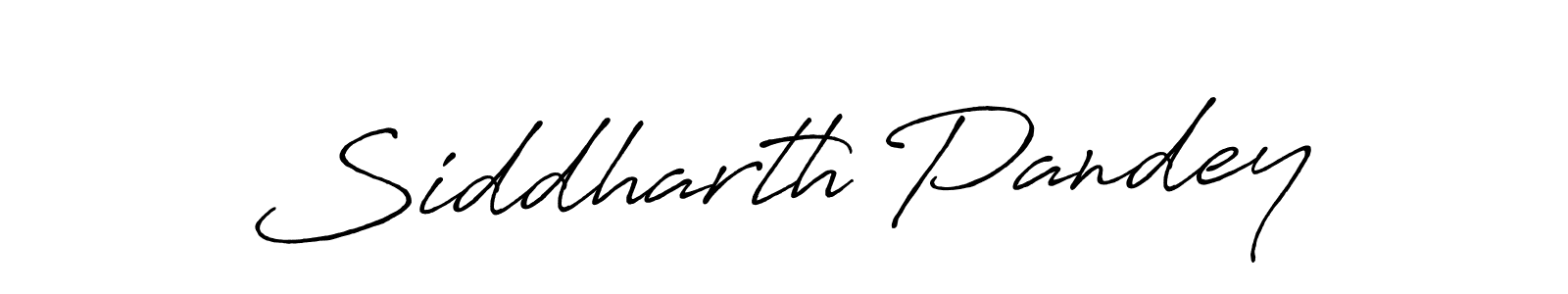 Siddharth Pandey stylish signature style. Best Handwritten Sign (Antro_Vectra_Bolder) for my name. Handwritten Signature Collection Ideas for my name Siddharth Pandey. Siddharth Pandey signature style 7 images and pictures png