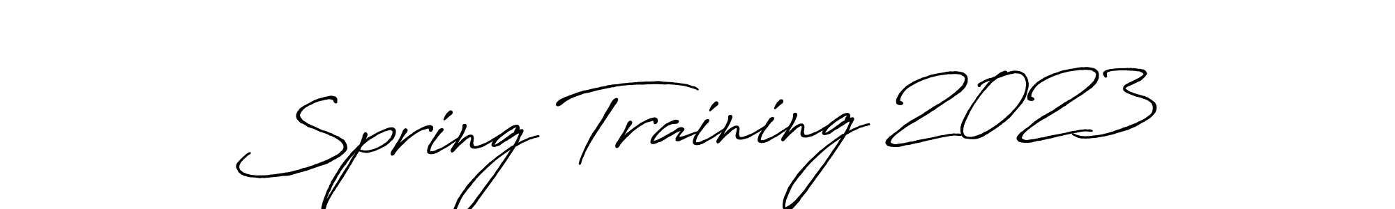 Make a beautiful signature design for name Spring Training 2023. Use this online signature maker to create a handwritten signature for free. Spring Training 2023 signature style 7 images and pictures png