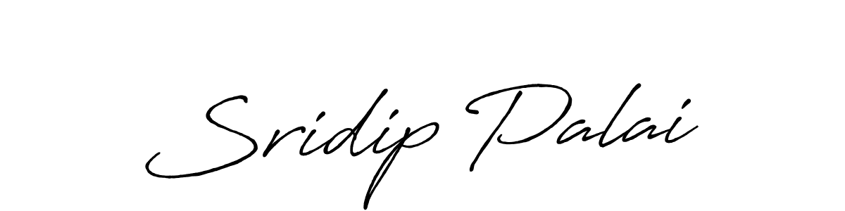 Make a beautiful signature design for name Sridip Palai. Use this online signature maker to create a handwritten signature for free. Sridip Palai signature style 7 images and pictures png