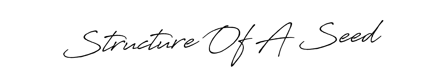 Make a beautiful signature design for name Structure Of A Seed. Use this online signature maker to create a handwritten signature for free. Structure Of A Seed signature style 7 images and pictures png