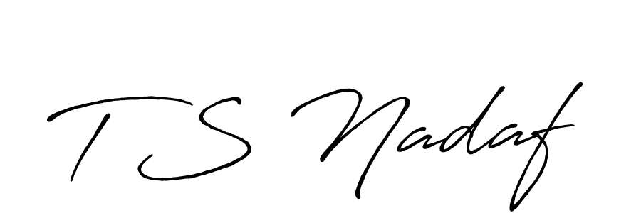 Here are the top 10 professional signature styles for the name T S Nadaf. These are the best autograph styles you can use for your name. T S Nadaf signature style 7 images and pictures png