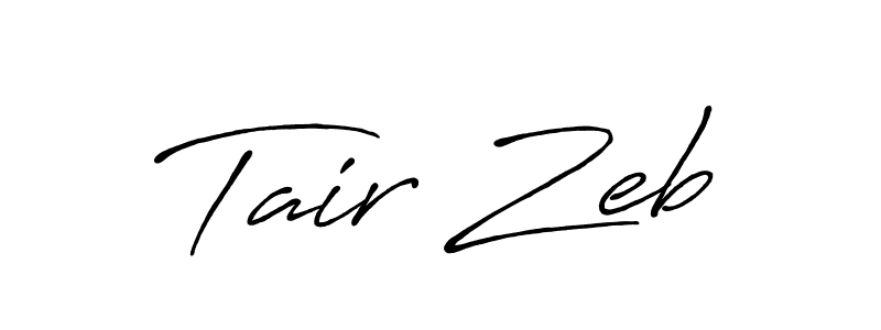 Make a beautiful signature design for name Tair Zeb. Use this online signature maker to create a handwritten signature for free. Tair Zeb signature style 7 images and pictures png