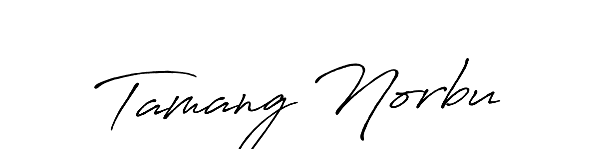 How to make Tamang Norbu signature? Antro_Vectra_Bolder is a professional autograph style. Create handwritten signature for Tamang Norbu name. Tamang Norbu signature style 7 images and pictures png