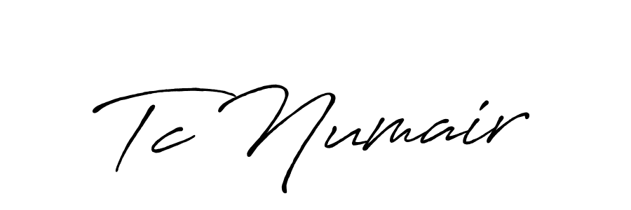 Here are the top 10 professional signature styles for the name Tc Numair. These are the best autograph styles you can use for your name. Tc Numair signature style 7 images and pictures png