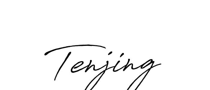 You should practise on your own different ways (Antro_Vectra_Bolder) to write your name (Tenjing) in signature. don't let someone else do it for you. Tenjing signature style 7 images and pictures png