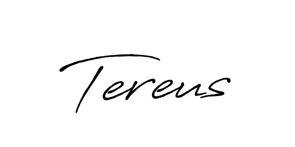 Make a beautiful signature design for name Tereus. Use this online signature maker to create a handwritten signature for free. Tereus signature style 7 images and pictures png