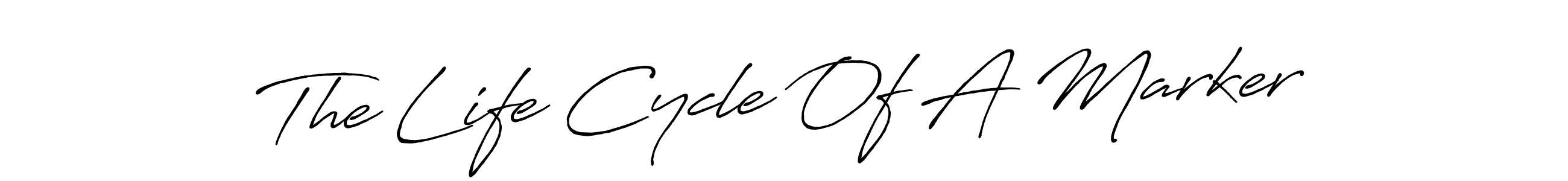 if you are searching for the best signature style for your name The Life Cycle Of A Marker. so please give up your signature search. here we have designed multiple signature styles  using Antro_Vectra_Bolder. The Life Cycle Of A Marker signature style 7 images and pictures png